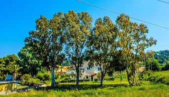 Aloni Studios & Apartments