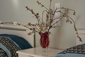 Aloni Studios & Apartments