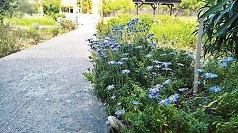 Aloni Studios & Apartments