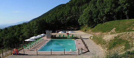 Vista del Mondo