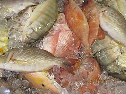 Lost Horizon Beach Dive Resort