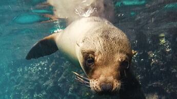 Chez Manany Galapagos Eco lodge