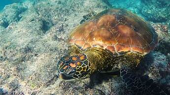 Chez Manany Galapagos Eco lodge