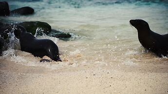 Chez Manany Galapagos Eco lodge