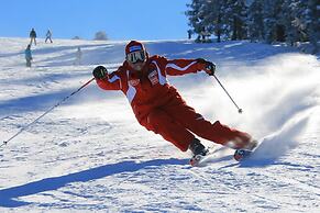 Sarikamis Snowflake Dağ Oteli