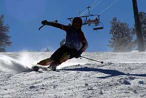 Sarikamis Snowflake Dağ Oteli