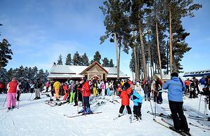 Sarikamis Snowflake Dağ Oteli