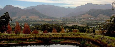 MontMartre Chalets and Guest House