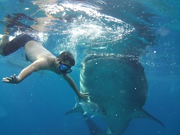 MDF Beach Resort And Day Tours