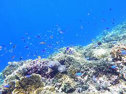 MDF Beach Resort And Day Tours