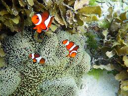 MDF Beach Resort And Day Tours