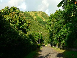 Pension Te Miti - Hostel