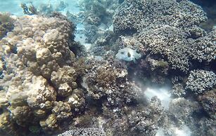 Pension Te Miti - Hostel