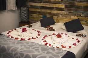 Stella Rina Adults Only