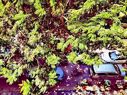 Phoenix Palace Hotel Hanoi