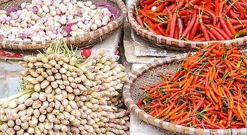 Phoenix Palace Hotel Hanoi