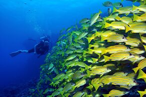  Dhigali Maldives - Premium All Inclusive