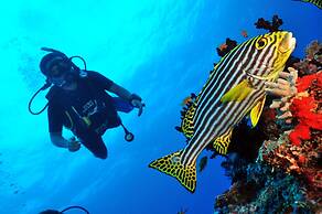  Dhigali Maldives - Premium All Inclusive