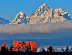 SpringHill Suites Jackson Hole