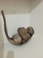 Apartamentos Discovery Coast