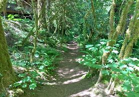 86sl - Rustic - Pets Ok - Bbq - Sleeps 6 3 Bedroom Home by RedAwning