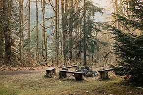 03mbh -12-bdrm - 3.5-bath - Wifi - Pets Ok - Sleeps 26 12 Bedroom Home