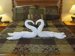 Gorgeous Home Close to Theme Parks