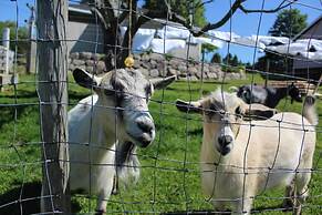 Upper Clements Cottages