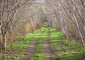 Upper Clements Cottages
