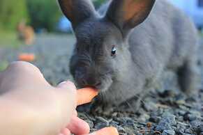 Upper Clements Cottages