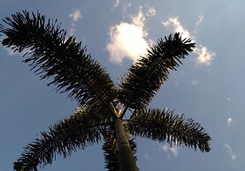 Bambuh Boutique Homestay