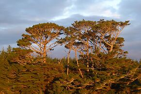 Pupu Rangi Nature Sanctuary - Conservation Area