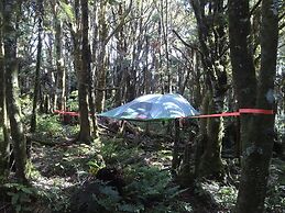 Pupu Rangi Nature Sanctuary - Conservation Area