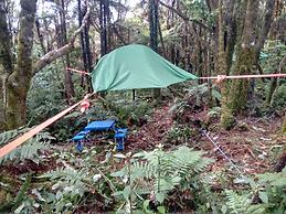 Pupu Rangi Nature Sanctuary - Conservation Area