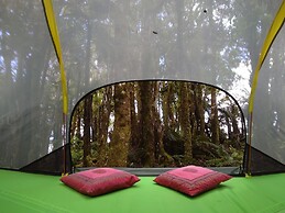 Pupu Rangi Nature Sanctuary - Conservation Area
