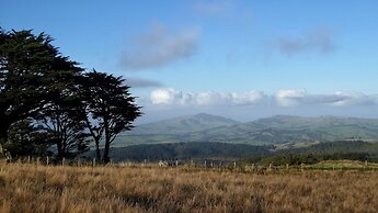Pupu Rangi Nature Sanctuary - Conservation Area