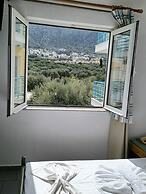 Olympic Star Apartments