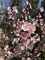 Bed & Breakfast Cilento