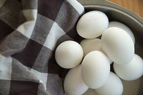 Kongsberg Vandrerhjem Bergmannen - Hostel