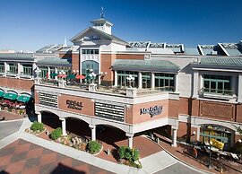 Hilton Norfolk The Main