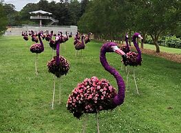 Hilton Norfolk The Main