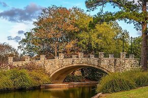 Hilton Norfolk The Main