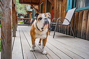 Colorado Bear Creek Cabins