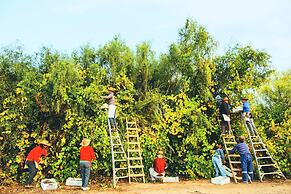 Casa Bouchon Hotel Boutique
