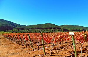 Casa Bouchon Hotel Boutique