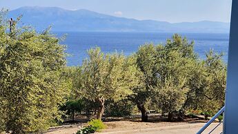 Assos Nazan Motel Restoran Beach