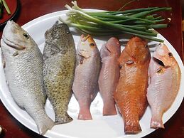 G.A.U. Mechang Lagoon Resort