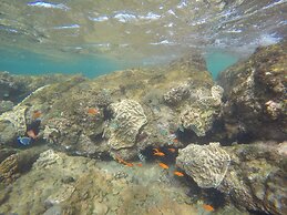 Khumbula iMozambique