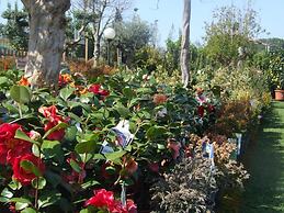 Residenza I Ciclamini