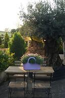 Residenza I Ciclamini